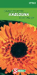 S07753 Calendula Kablouna Oranje Eénjarig. Oranje bloemen met zwart hart en stevige, lange bloemstengels. Snijbloem. Zaaien in maart onder glas en uitplanten in mei op 25 cm afstand of ter plaatse zaaien van april tot juni. Het zaad licht bedekken en aanduwen. Gemakkelijke teelt.


hoogte :
40 cm Calendula Kablouna oranje